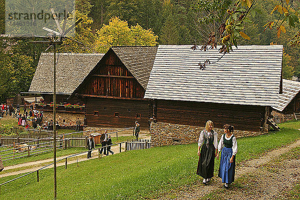 Stubinger Festspiele  Steiermark  Österreich