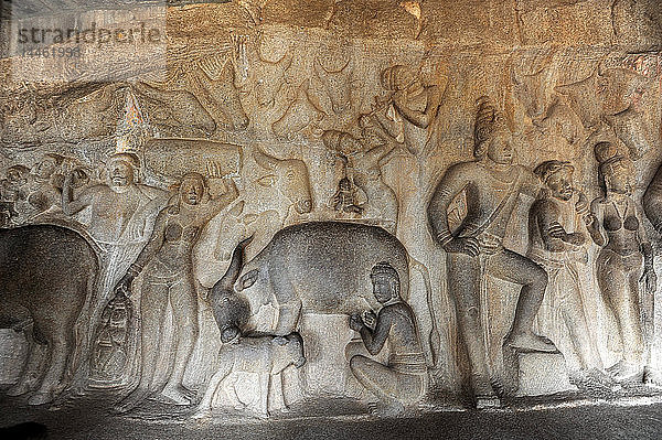 Teil einer wunderschönen Felszeichnung aus dem 7. Jahrhundert im Varaha-Höhlentempel  die den hinduistischen Gott Vishnu darstellt  Mahaballipuram  UNESCO-Weltkulturerbe  Tamil Nadu  Indien