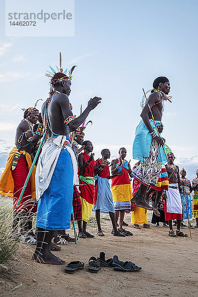 Porträt von Mitgliedern des Samburu-Stammes  die bei einem traditionellen Hochzeitstanz in der Abenddämmerung springen  Kenia  Ostafrika