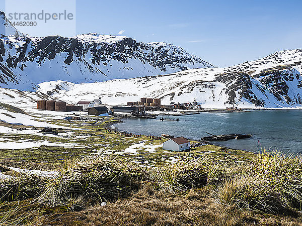 Die verlassene Walfangstation Grytviken auf der Insel Südgeorgien im Atlantischen Ozean  die jetzt gereinigt und für den Tourismus hergerichtet wurde