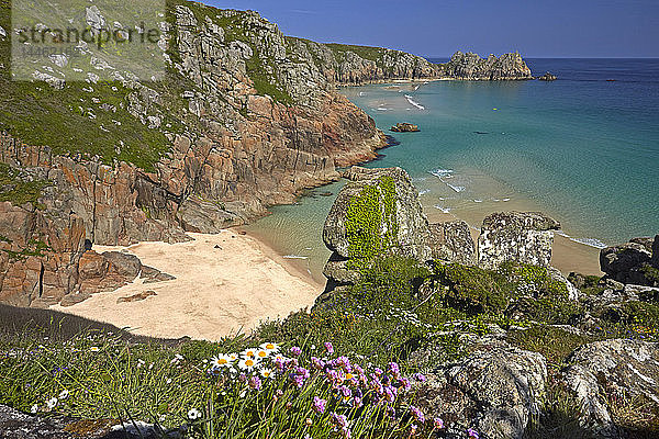 Pednvounder Beach und Treen Cliffs in Porthcurno  Cornwall  England