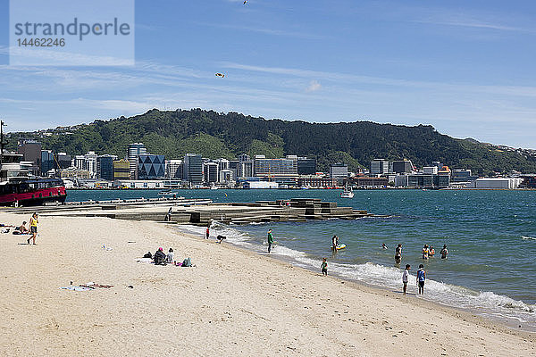 Freyberg Beach und Hafenviertel in Wellington  Neuseeland  Ozeanien