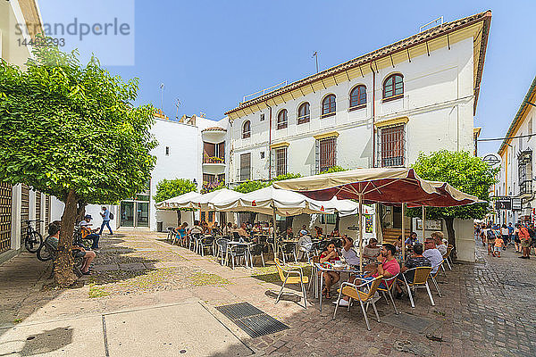 Touristen beim Mittagessen in einem traditionellen Restaurant in der Altstadt  Cordoba  Andalusien  Spanien