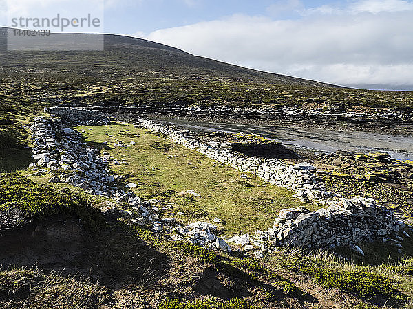 Die Überreste der britischen Garnison  die 1765 in Port Egmont auf Saunders Island  Falklandinseln  Südatlantik  errichtet wurde
