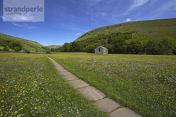 Pfad  der durch traditionelle Heuwiesen führt  Muker  Swaledale  Yorkshire Dales  North Yorkshire  England