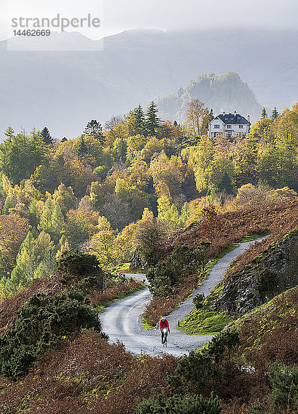 Ein einsamer Radfahrer an den unteren Hängen der Catbells mit dem entfernten Castle Crag und den Manesty Woods in Borrowdale  Lake District National Park  UNESCO-Weltkulturerbe  Cumbria  England  Vereinigtes Königreich