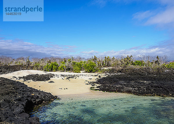 Strand in der Gegend von Dragon Hill  Insel Santa Cruz (Indefatigable)  Galapagos  UNESCO-Welterbe  Ecuador