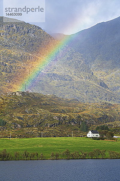 Regenbogen über Berg in Leknes  Lofoten  Norwegen