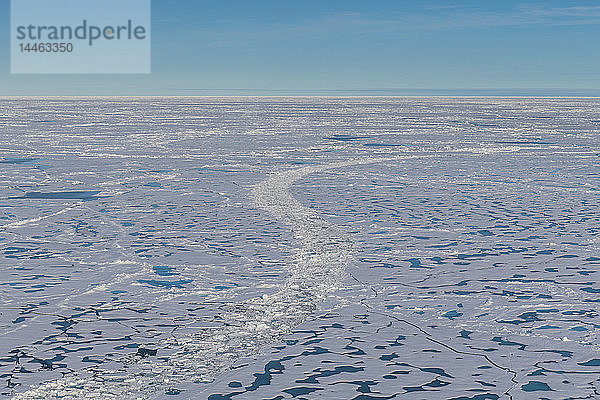 Schmelzendes Eis am Nordpol  Arktis