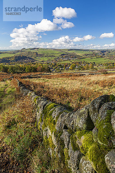 Steinmauer durch ein Feld bei Calver im Peak District National Park  England