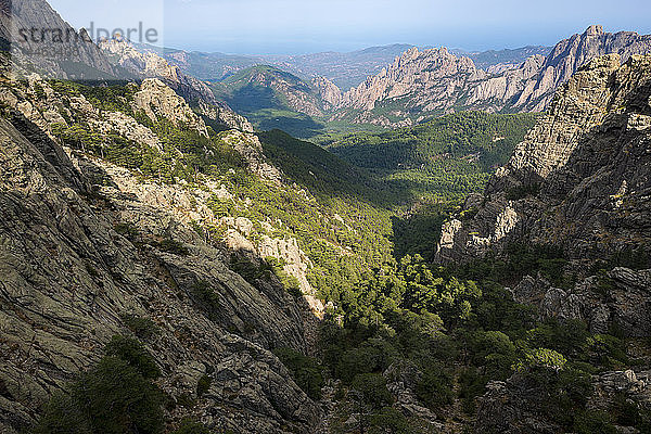 Trekking auf dem GR20 in Korsika in der Nähe der Aiguilles de Bavella in Richtung Refuge d'Asinao  Korsika  Frankreich  Mittelmeer