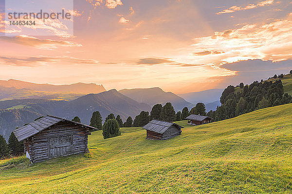 Sonnenuntergang über traditionellen Hütten auf der Alm  Grödner Tal  Südtirol  Dolomiten  Italien
