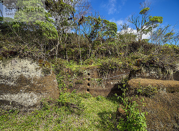 Felsenlabyrinth  Asilo de la Paz  Hochland der Insel Floreana (Charles)  Galapagos  UNESCO-Weltkulturerbe  Ecuador