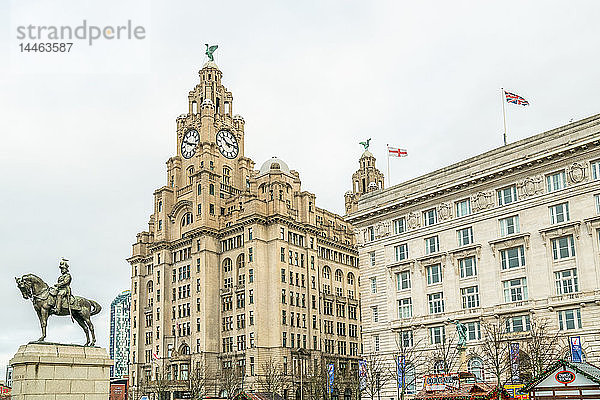 Royal Liver Building in Liverpool  England