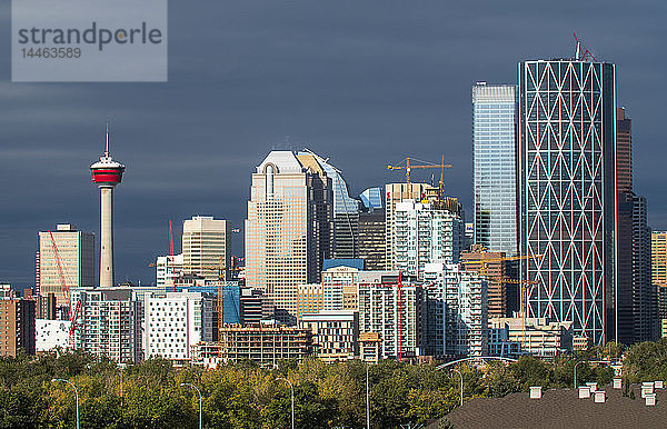 Skyline der Stadt Calgary  Calgary  Alberta  Kanada  Nordamerika