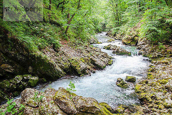 Der Fluss Radovna fließt durch die Vintgar-Schlucht  in der Nähe von Bled  Slowenien