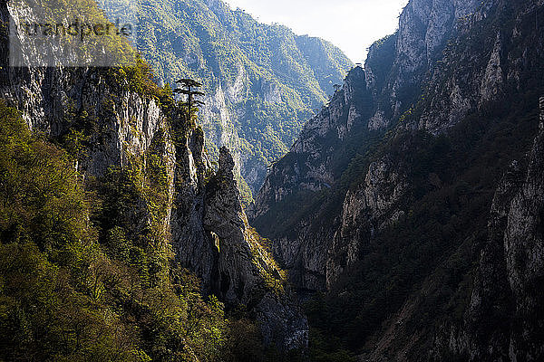 Schlucht des Tara-Flusses  Durmitor-Nationalpark  UNESCO-Weltkulturerbe  Montenegro