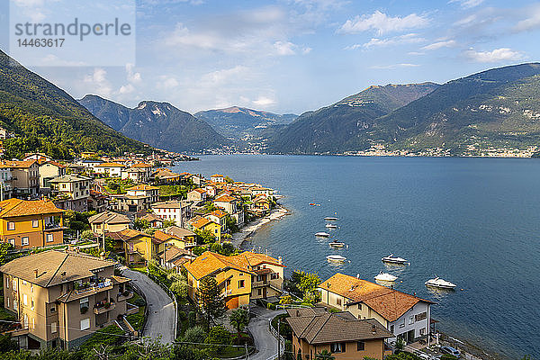 Blick auf das Comer See-Dorf Lezzeno  Provinz Como  Comer See  Lombardei  Italienische Seen  Italien
