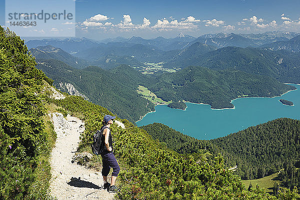 Wanderer genießt die Aussicht auf den Walchensee auf dem Weg zum Herzogstand  Oberbayern  Bayern  Deutschland  Europa