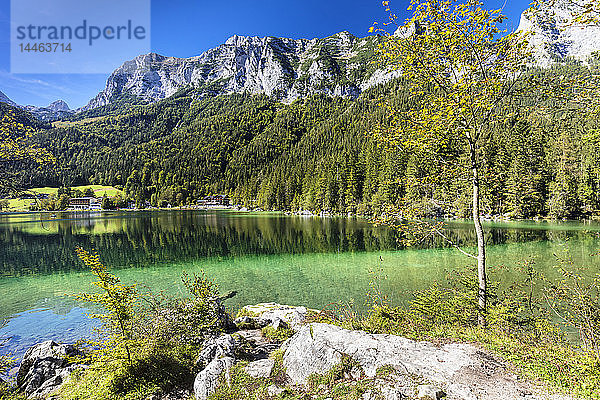 Hintersee  Reiteralpe  Ramsau  Berchtesgadener Land  Nationalpark Berchtesgaden  Oberbayern  Bayern  Deutschland  Europa