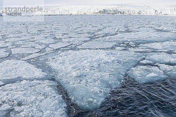 Palanderbukta-Bucht  Packeismuster  Gustav-Adolf-Land  Nordaustlandet  Svalbard-Archipel  Arktis  Norwegen