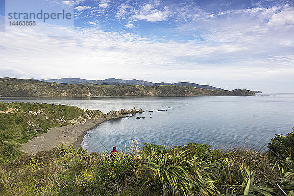Oruaiti Reserve in Breaker Bay  Wellington  Neuseeland  Ozeanien