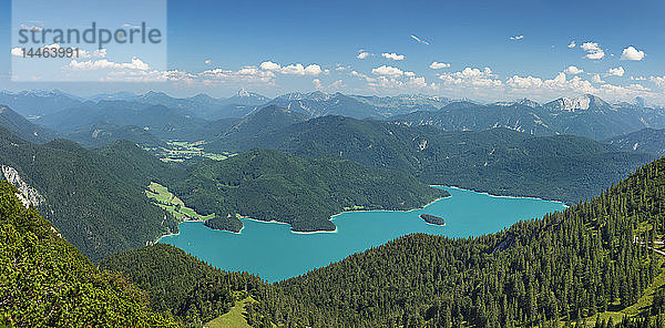 Blick vom Herzogstand zum Walchensee und Karwendelgebirge  Oberbayern  Bayern  Deutschland  Europa