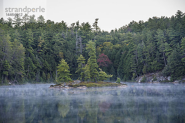 Aufsteigender Nebel am Bunnyrabbit Lake in der Morgendämmerung auf dem La Cloche Silhouette Trail  Killarney Provincial Park  Ontario  Kanada  Nordamerika