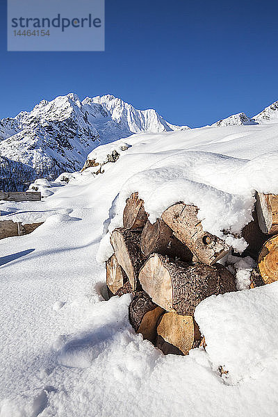 Brennholz mit Schnee bedeckt mit dem Monte Disgrazia im Hintergrund  Alpe dell'Oro  Valmalenco  Valtellina  Lombardei  Italien