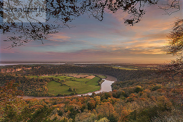 Upper Wyndcliff  Fluss Wye und Mündung des Severn  Wye Valley  Monmouthshire  Wales  Vereinigtes Königreich  Europa