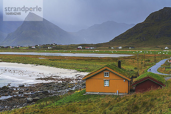 Häuser mit Grasdach am Meer  Fredvang  Landkreis Nordland  Lofoten  Norwegen