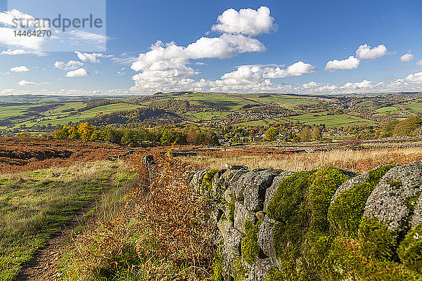 Steinmauer durch ein Feld bei Calver im Peak District National Park  England