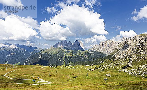 Skipisten im Sommer mit Langkofelgruppe im Hintergrund  Pordoijoch  Fassatal  Trentino  Dolomiten  Italien