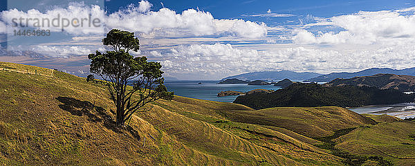 Westküste der Coromandel-Halbinsel  Nordinsel  Neuseeland  Pazifik