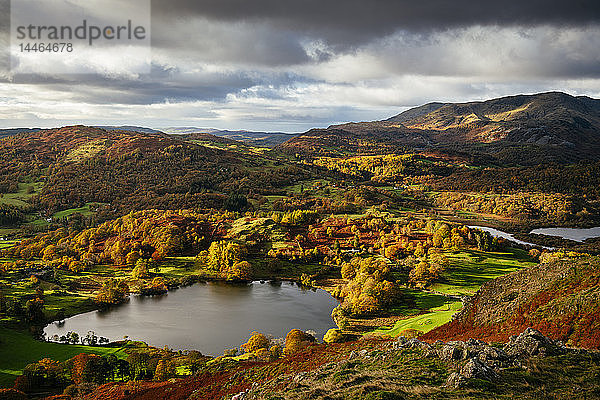 Blick in der Herbstdämmerung von Loughrigg Fell  Lake District National Park  UNESCO-Welterbe  Cumbria  England  Vereinigtes Königreich