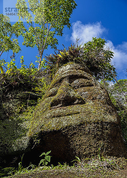 Gesichtsskulptur im Tuffstein  Asilo de la Paz  Hochland der Insel Floreana (Charles)  Galapagos  UNESCO-Weltkulturerbe  Ecuador