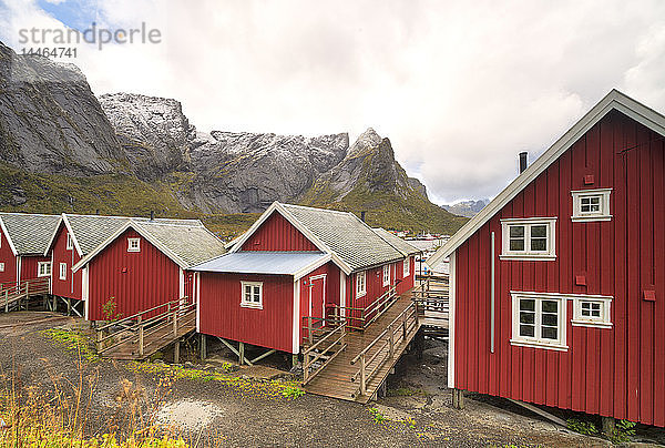 Ikonische rote Fischerhütten (Rorbu)  Reine  Nordland  Lofoten  Norwegen  Europa