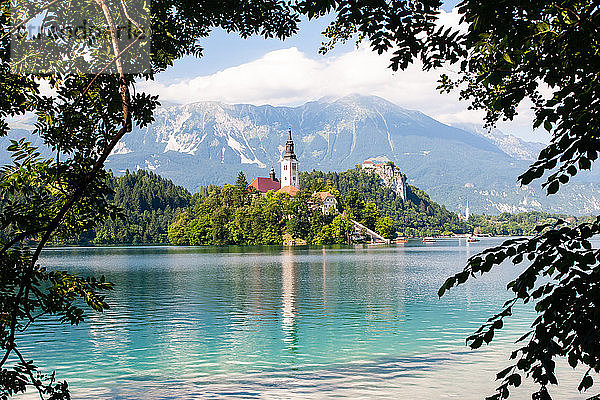 Winzige Insel mit einer Kirche  einem Schloss auf einem Felsen und Blick auf die Berge  Bleder See  Slowenien