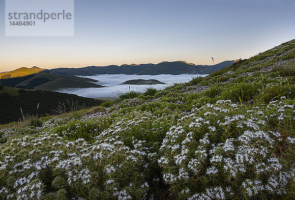 Sonnenaufgang auf den Sibillini-Bergen  Sibillini-Nationalpark  Umbrien  Italien