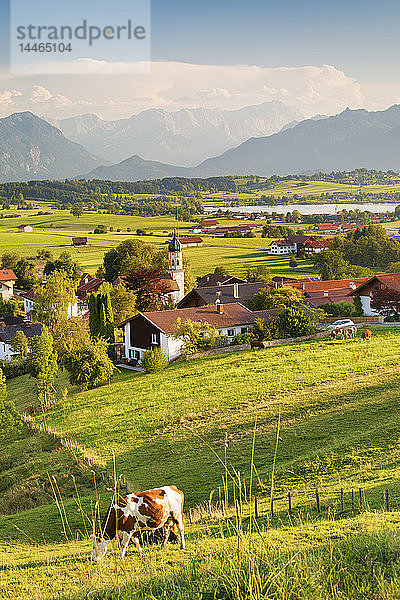 Blick von der Aidlinger Höhe über Aidling zum Wettersteingebirge und zur Zugspitze  Oberbayern  Bayerische Alpen  Bayern  Deutschland  Europa