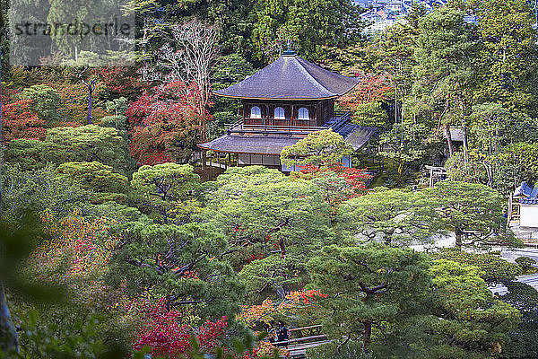 Ginkakuji-Tempel  UNESCO-Weltkulturerbe  Kyoto  Japan