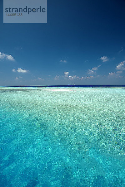 Tropischer Strand  Malediven  Indischer Ozean  Asien