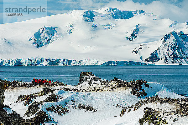 Blick auf die Antarktis  Zügelpinguine und Menschen  die sich im Eis bewegen  Antarktis  Polarregionen