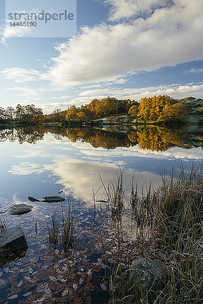 Dämmerungslicht bei Loughrigg Tarn  Lake District National Park  UNESCO-Welterbe  Cumbria  England  Vereinigtes Königreich