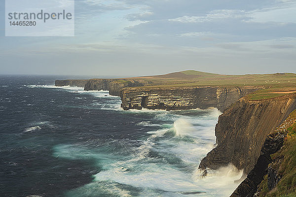 Loop Head  Grafschaft Clare  Munster  Republik Irland  Europa