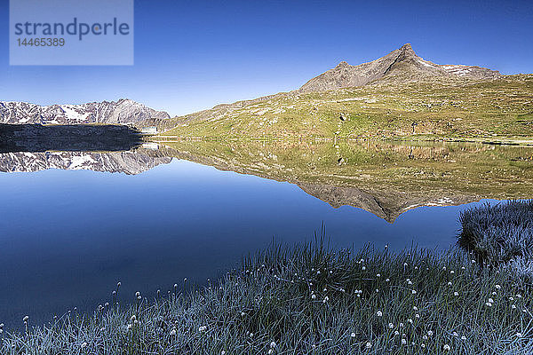 Berggipfel  die sich im Lago Bianco spiegeln  Gavia-Pass  Valfurva  Valtellina  Provinz Sondrio  Lombardei  Italien