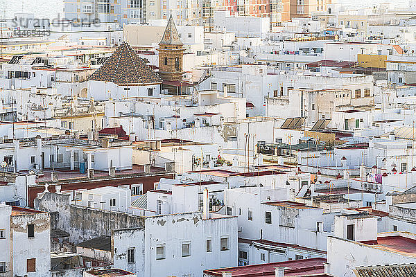 Blick vom Torre Tavira auf weiße Häuser in Cádiz  Spanien