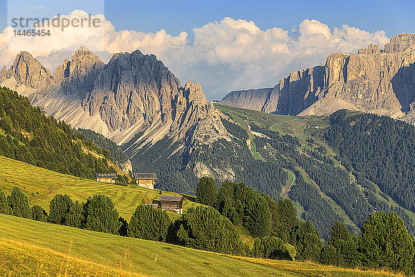 Traditionelle Hütten mit Cir-Gruppe und Sellagruppe im Hintergrund  St. Ulrich  Grödnertal  Südtirol  Dolomiten  Italien