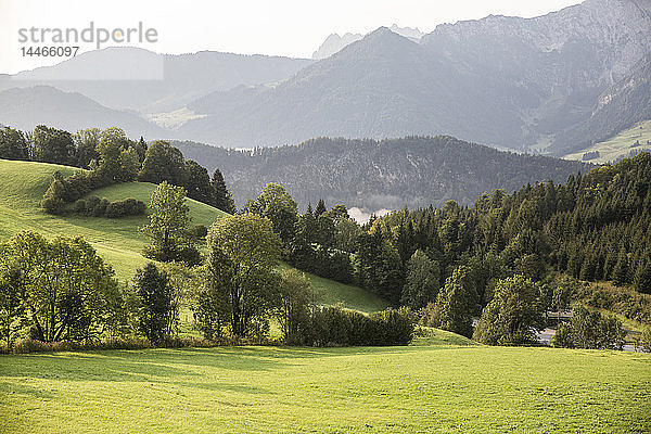 Österreich  Tirol  Kaisergebirge  Blick auf Karspitze und Rettenschoess