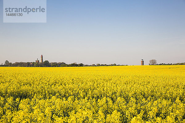 Deutschland  Rügen  Kap Arkona  Leuchtturm von Kap Arkona  Schinkelturm und Positionierungsturm  Peilturm am Rapsfeld